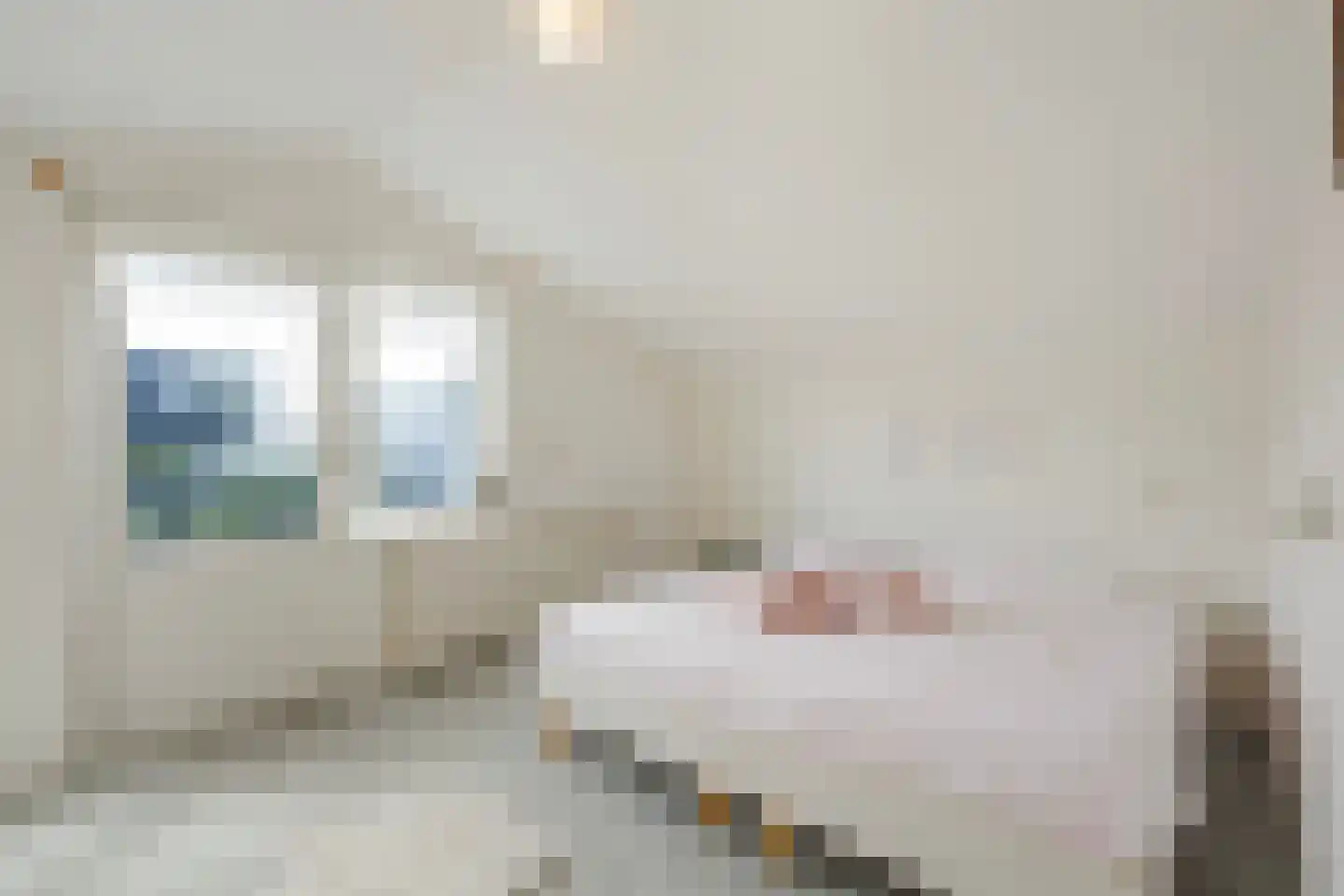 Maasdijk 73 Maasdijk thumbnail 42