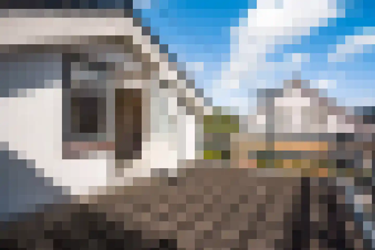 Maasdijk 73 Maasdijk thumbnail 45