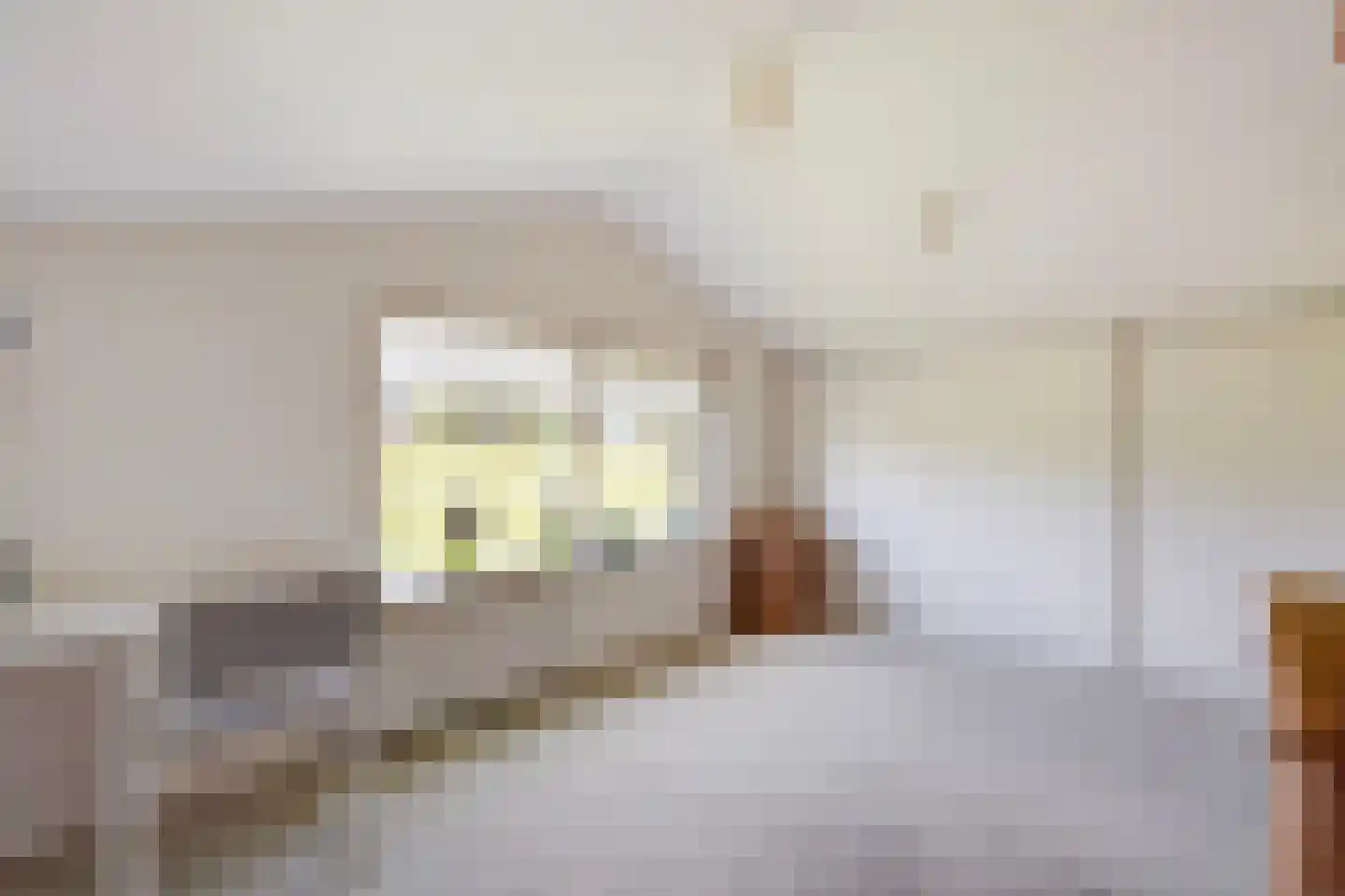 Maasdijk 73 Maasdijk thumbnail 49
