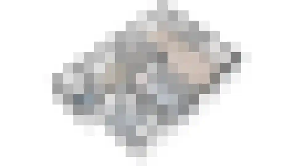 Maasdijk 73 Maasdijk thumbnail 53