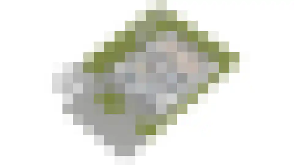 Maasdijk 73 Maasdijk thumbnail 55