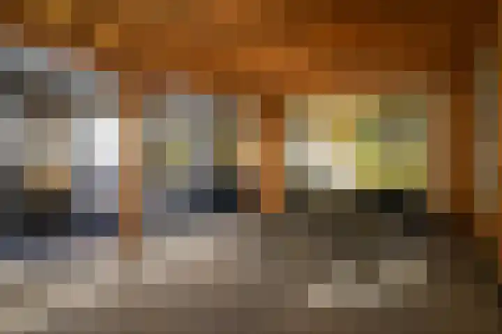 Maasdijk 73 Wijk en Aalburg thumbnail 40