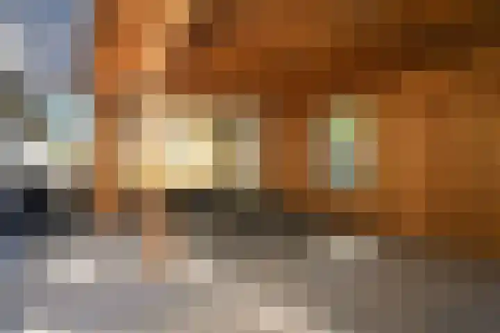 Maasdijk 73 Wijk en Aalburg thumbnail 41