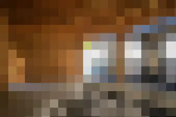 Maasdijk 73 Wijk en Aalburg thumbnail 42