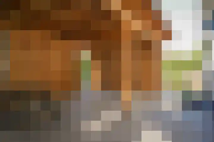 Maasdijk 73 Wijk en Aalburg thumbnail 43