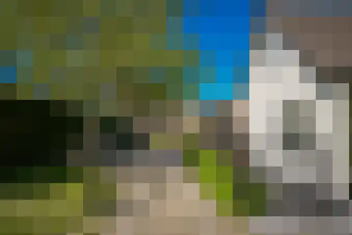Maasdijk 73 Wijk en Aalburg thumbnail 48
