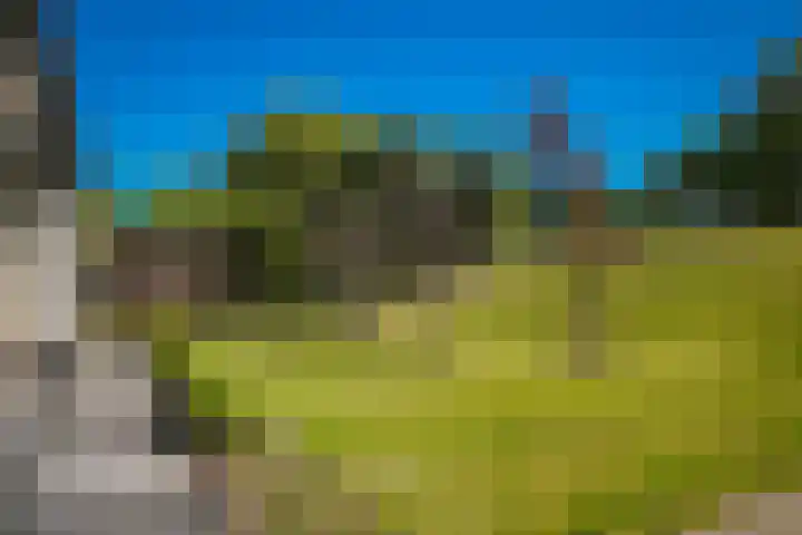 Maasdijk 73 Wijk en Aalburg thumbnail 49