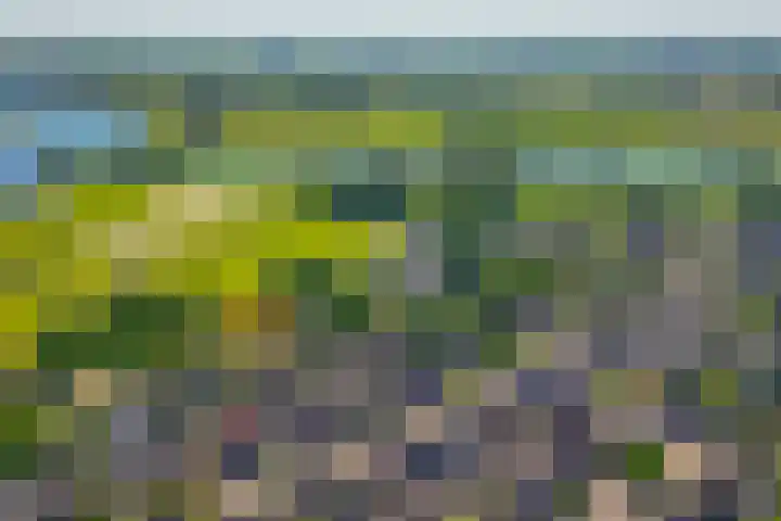 Maasdijk 73 Wijk en Aalburg thumbnail 58