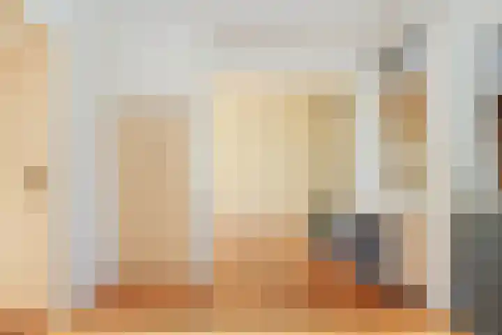 Maasdijk 73 Wijk en Aalburg thumbnail 6