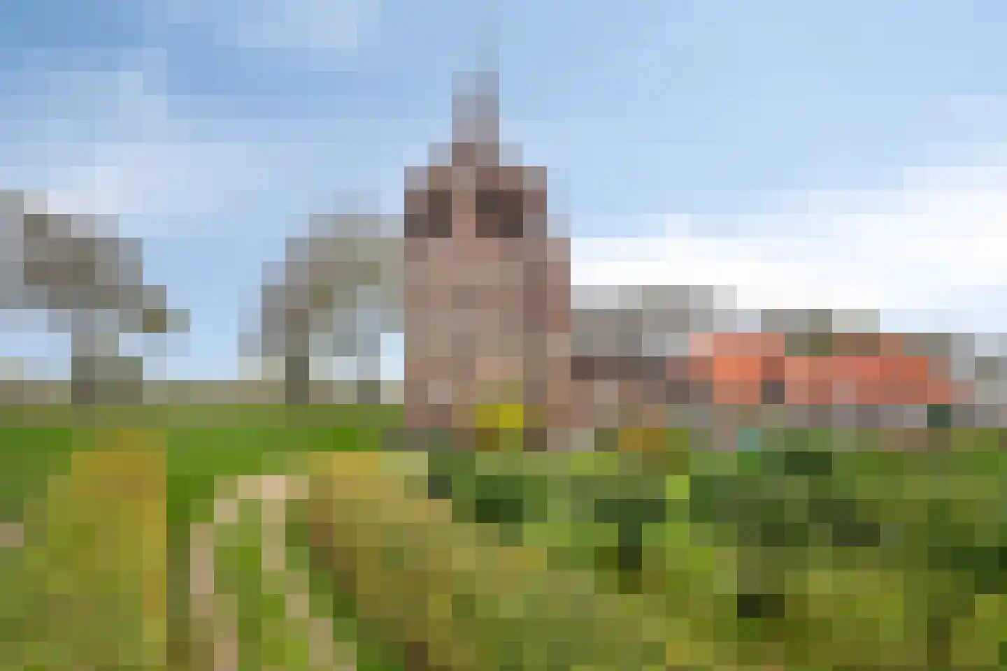 Maasdijk 79 in Dieden