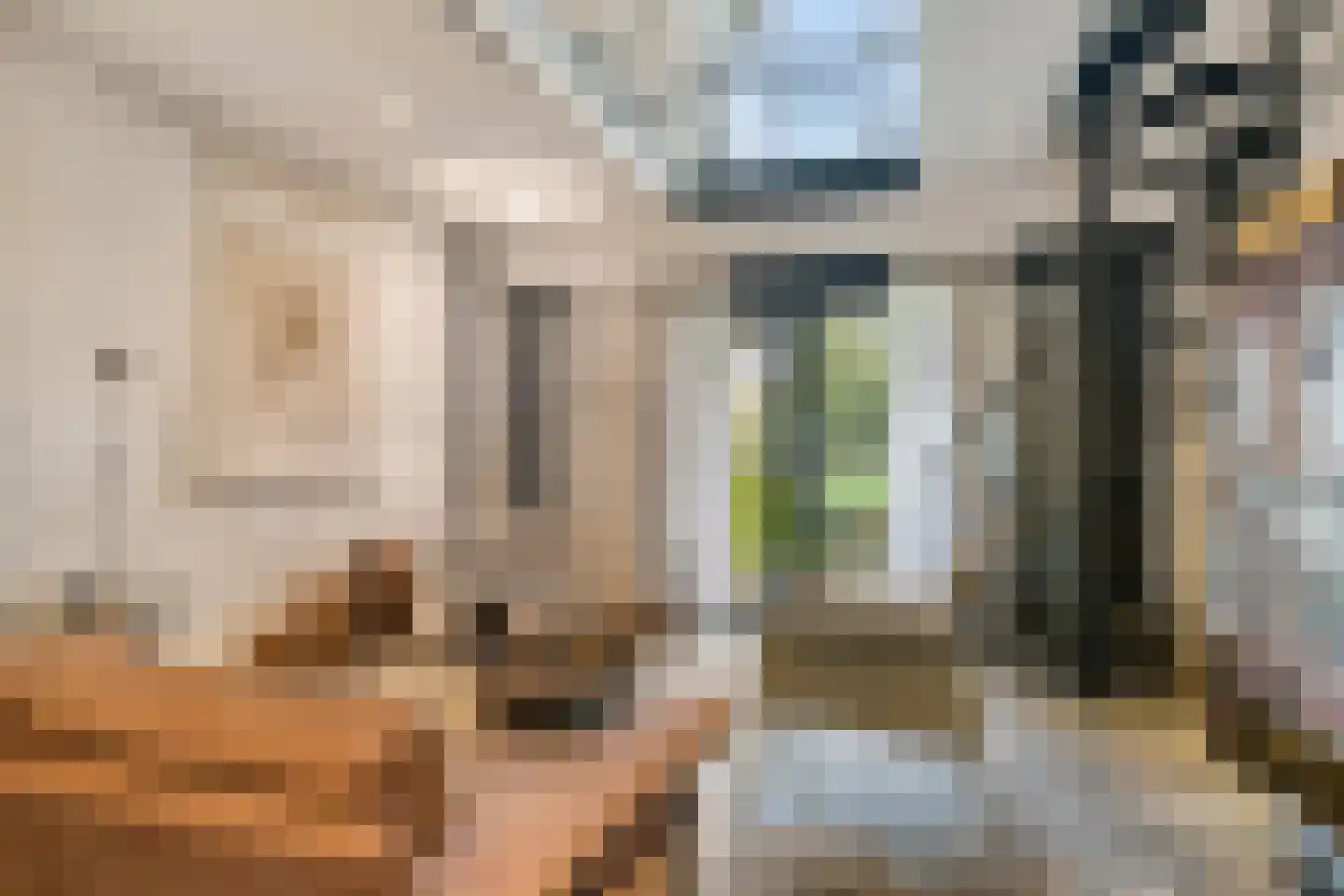 Maasdijk 79 Dieden thumbnail 13