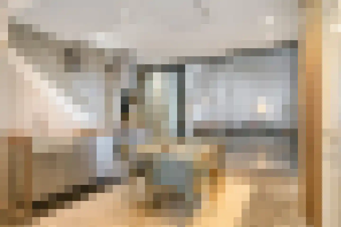 Maasdijk 79 Dieden thumbnail 18