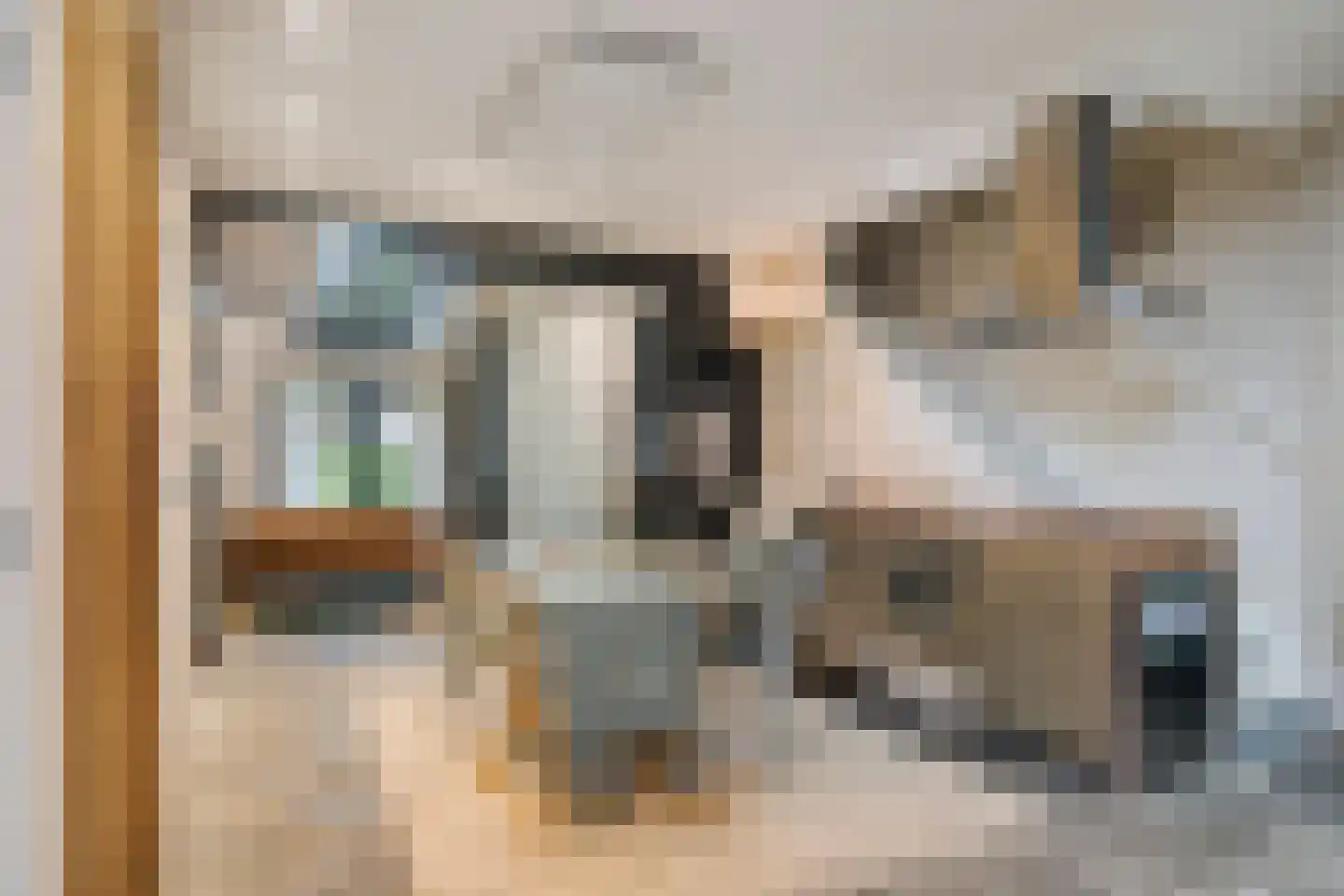 Maasdijk 79 Dieden thumbnail 19