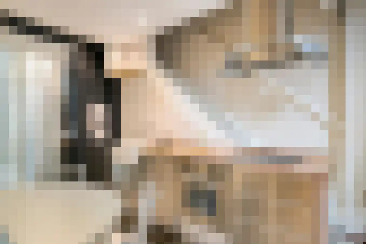 Maasdijk 79 Dieden thumbnail 20