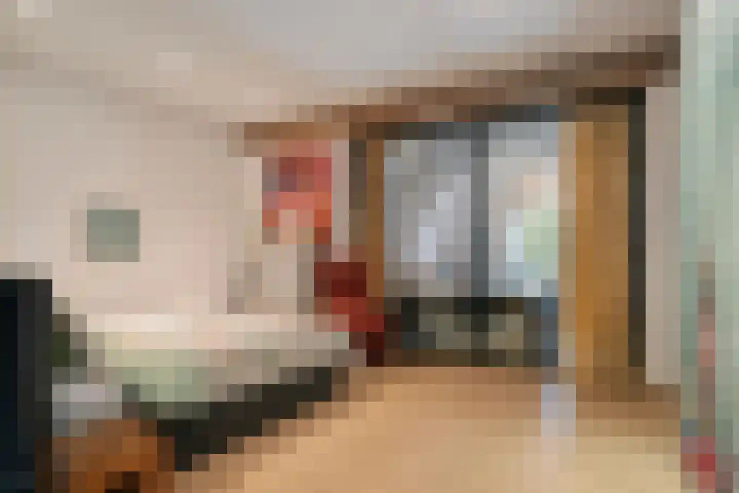 Maasdijk 79 Dieden thumbnail 27
