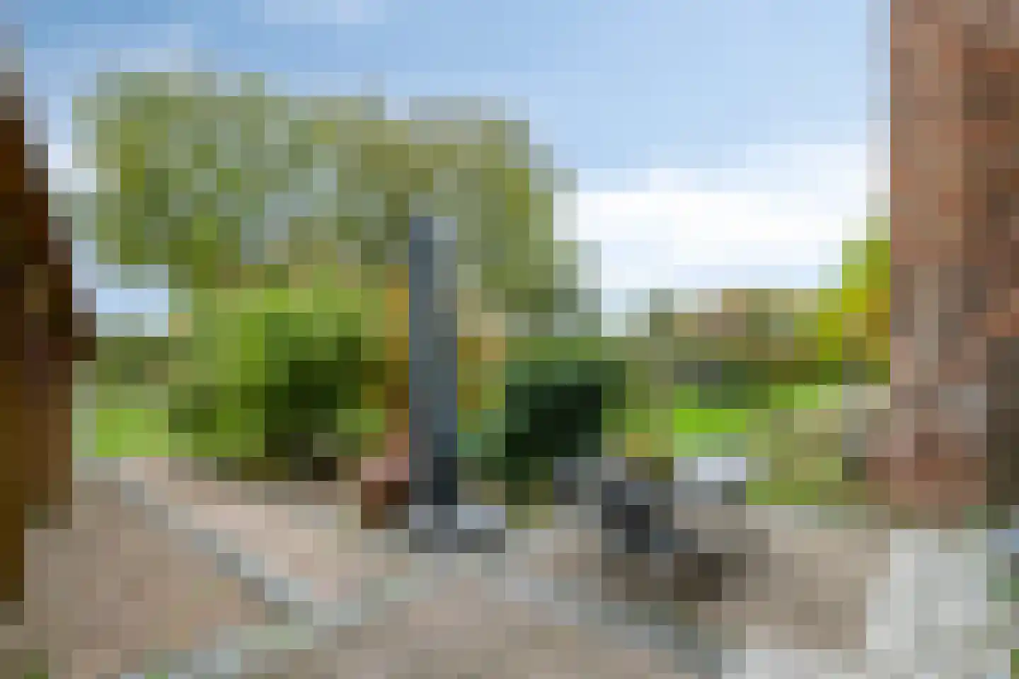 Maasdijk 79 Dieden thumbnail 36