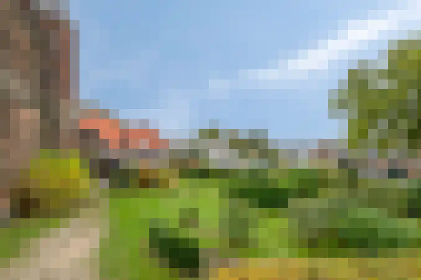 Maasdijk 79 Dieden thumbnail 38