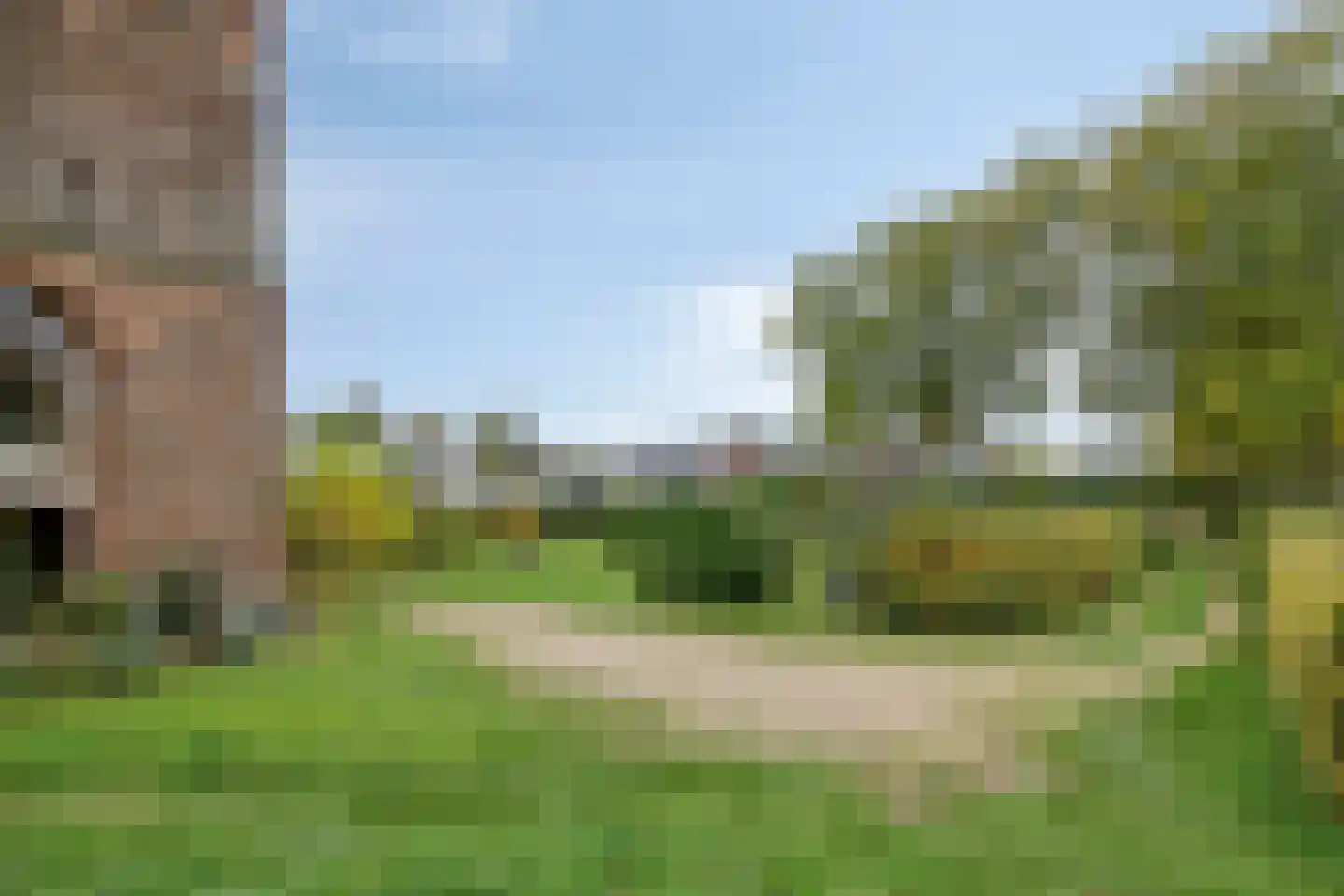 Maasdijk 79 Dieden thumbnail 41