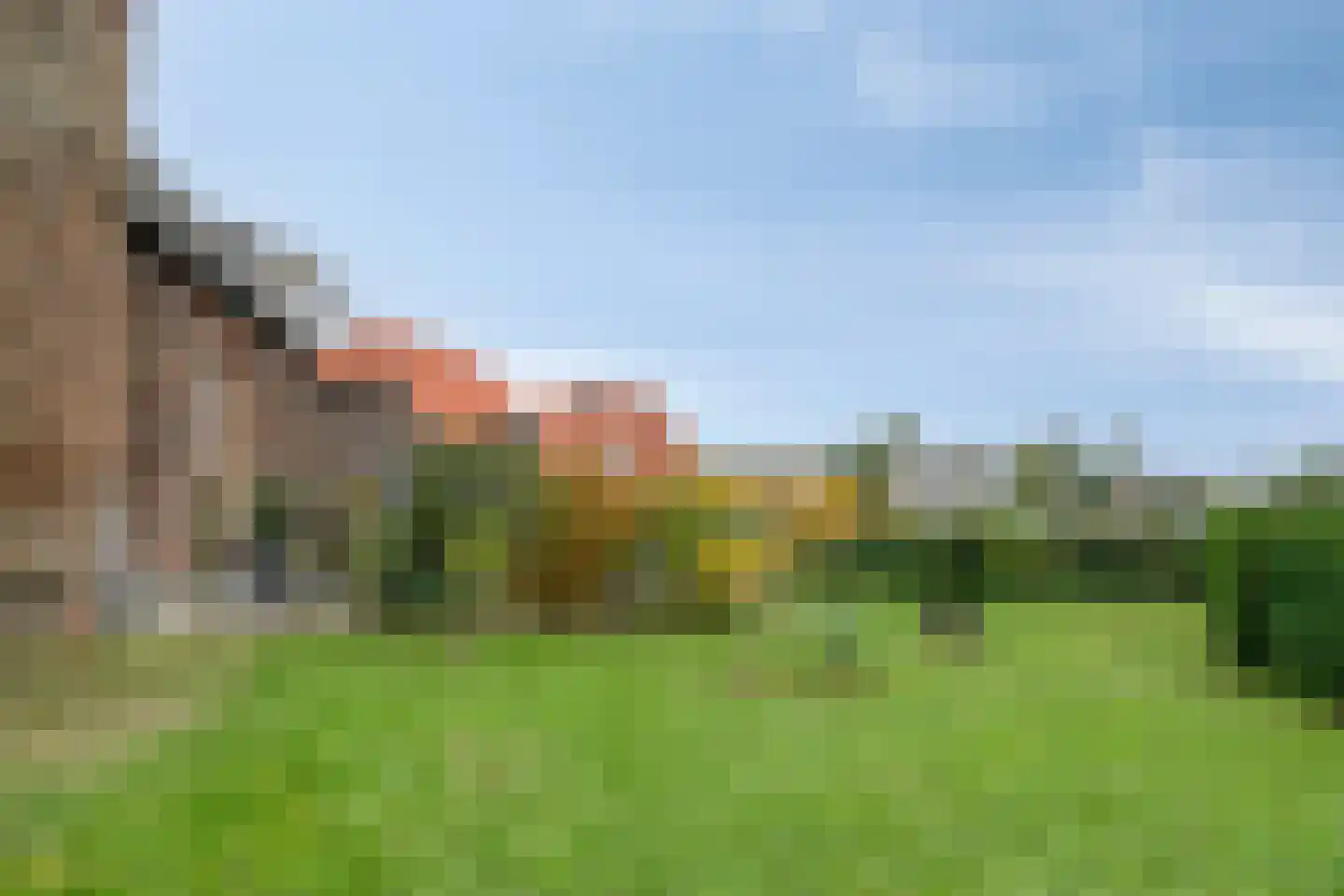 Maasdijk 79 Dieden thumbnail 42