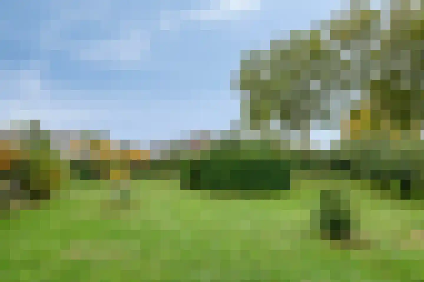 Maasdijk 79 Dieden thumbnail 43