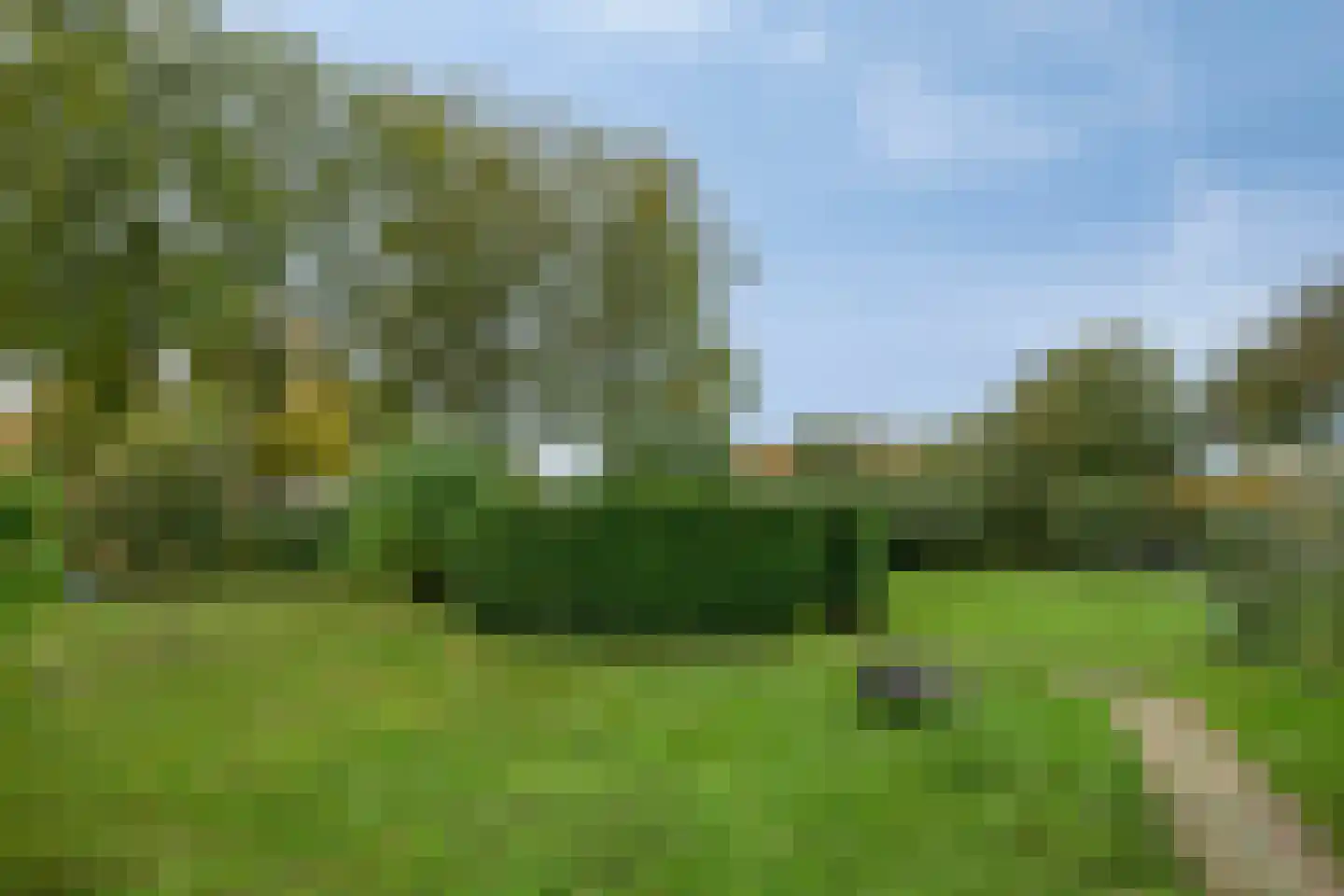 Maasdijk 79 Dieden thumbnail 45