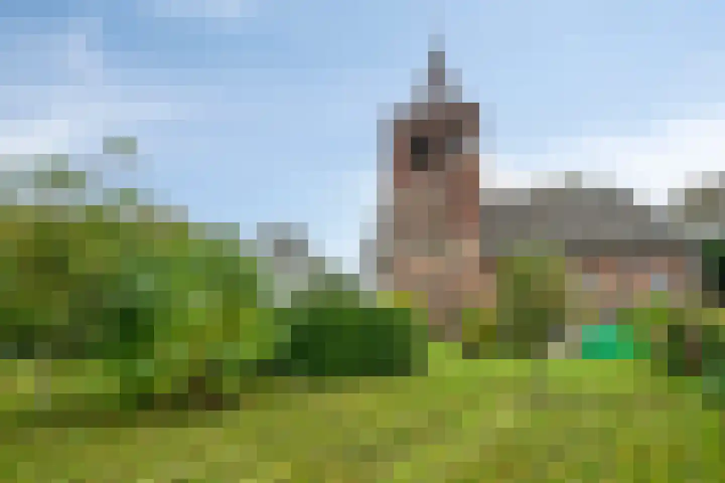 Maasdijk 79 Dieden thumbnail 46