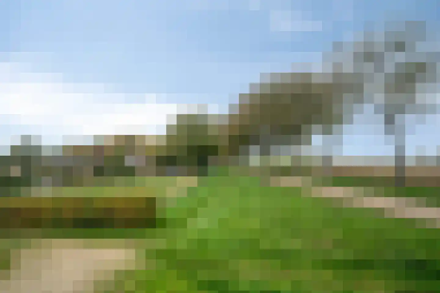 Maasdijk 79 Dieden thumbnail 47