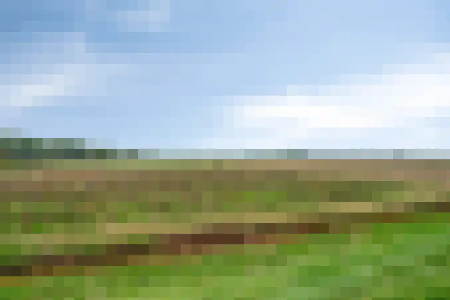 Maasdijk 79 Dieden thumbnail 48
