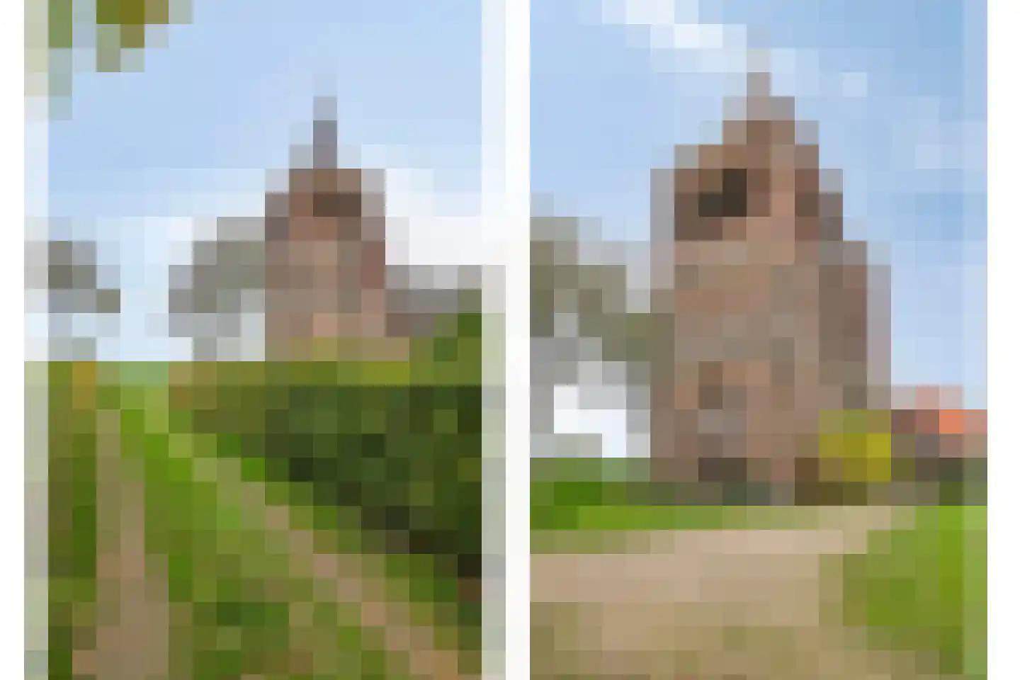 Maasdijk 79 Dieden thumbnail 49