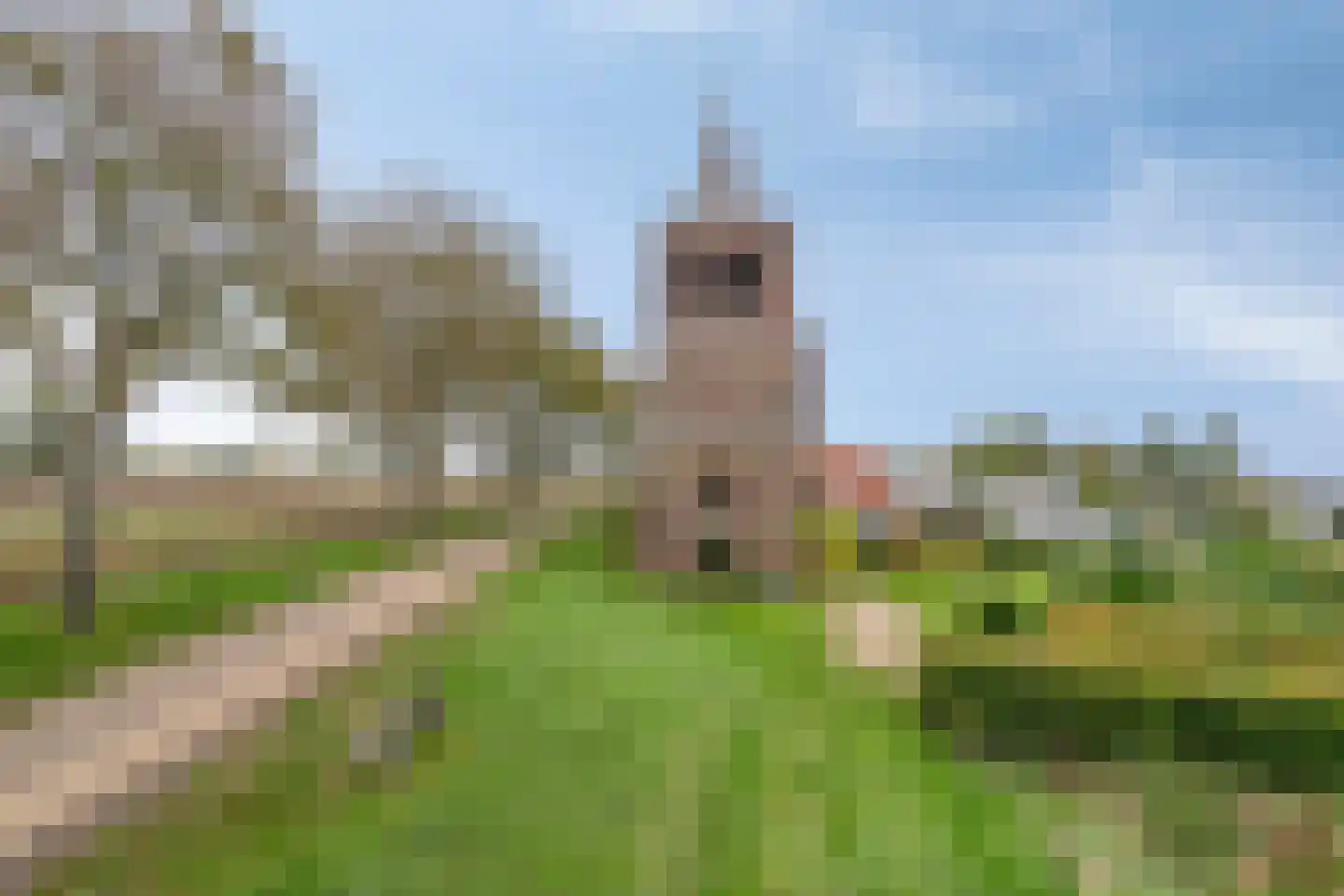 Maasdijk 79 Dieden thumbnail 50