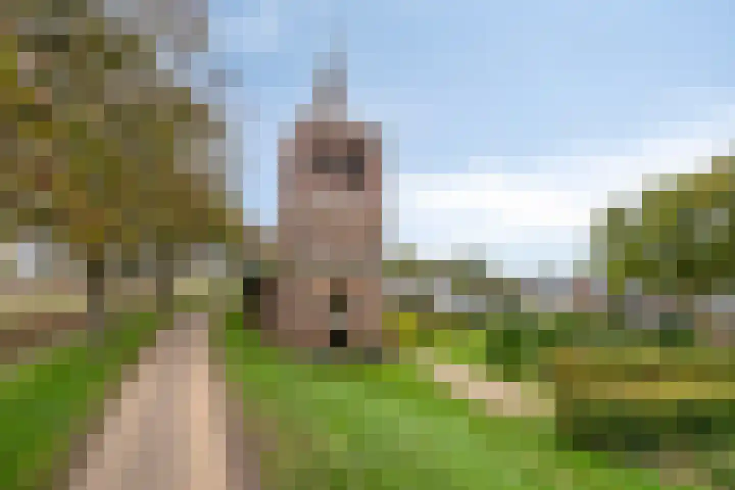 Maasdijk 79 Dieden thumbnail 51