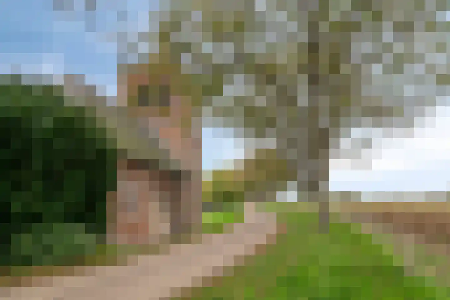 Maasdijk 79 Dieden thumbnail 52
