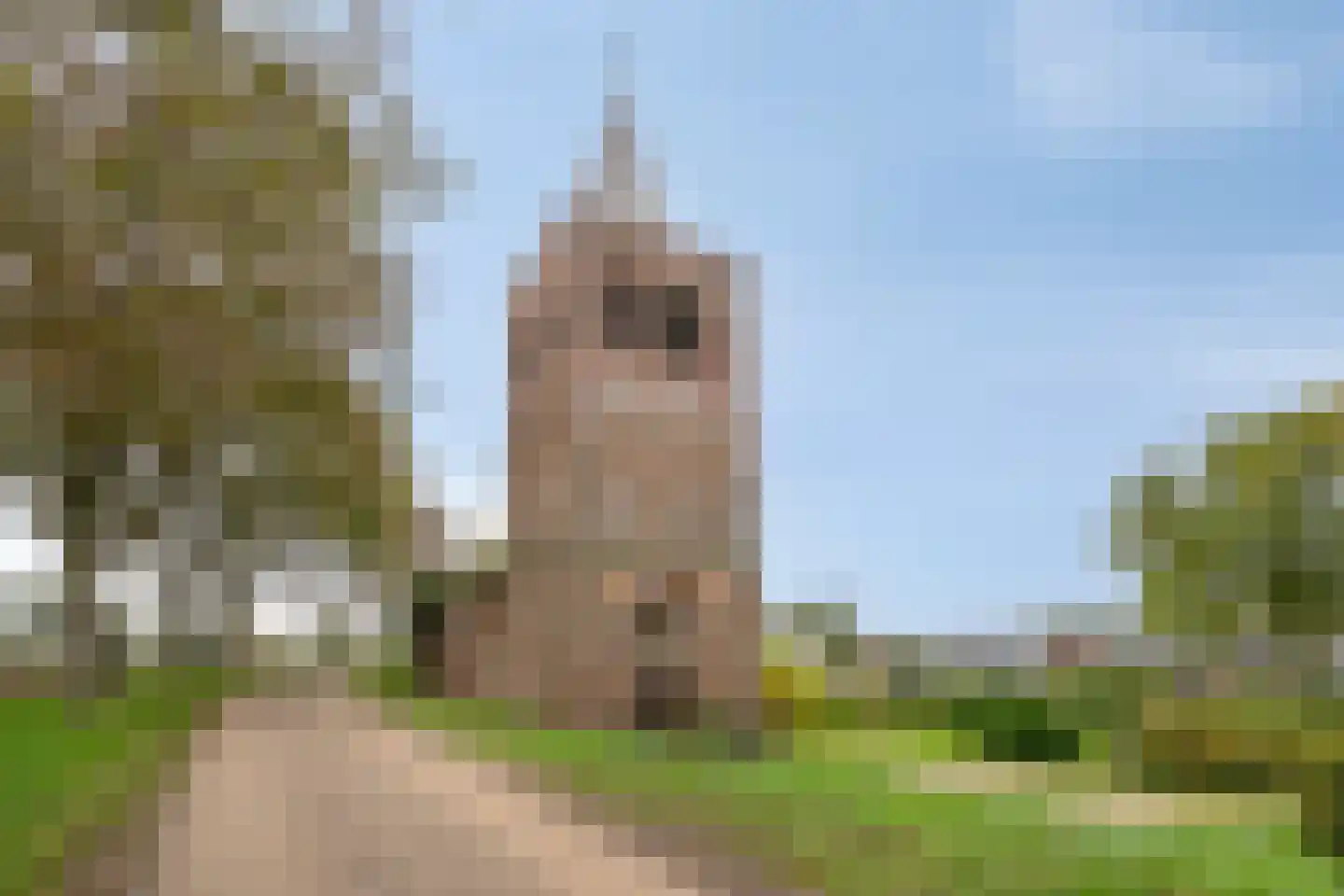 Maasdijk 79 Dieden thumbnail 53