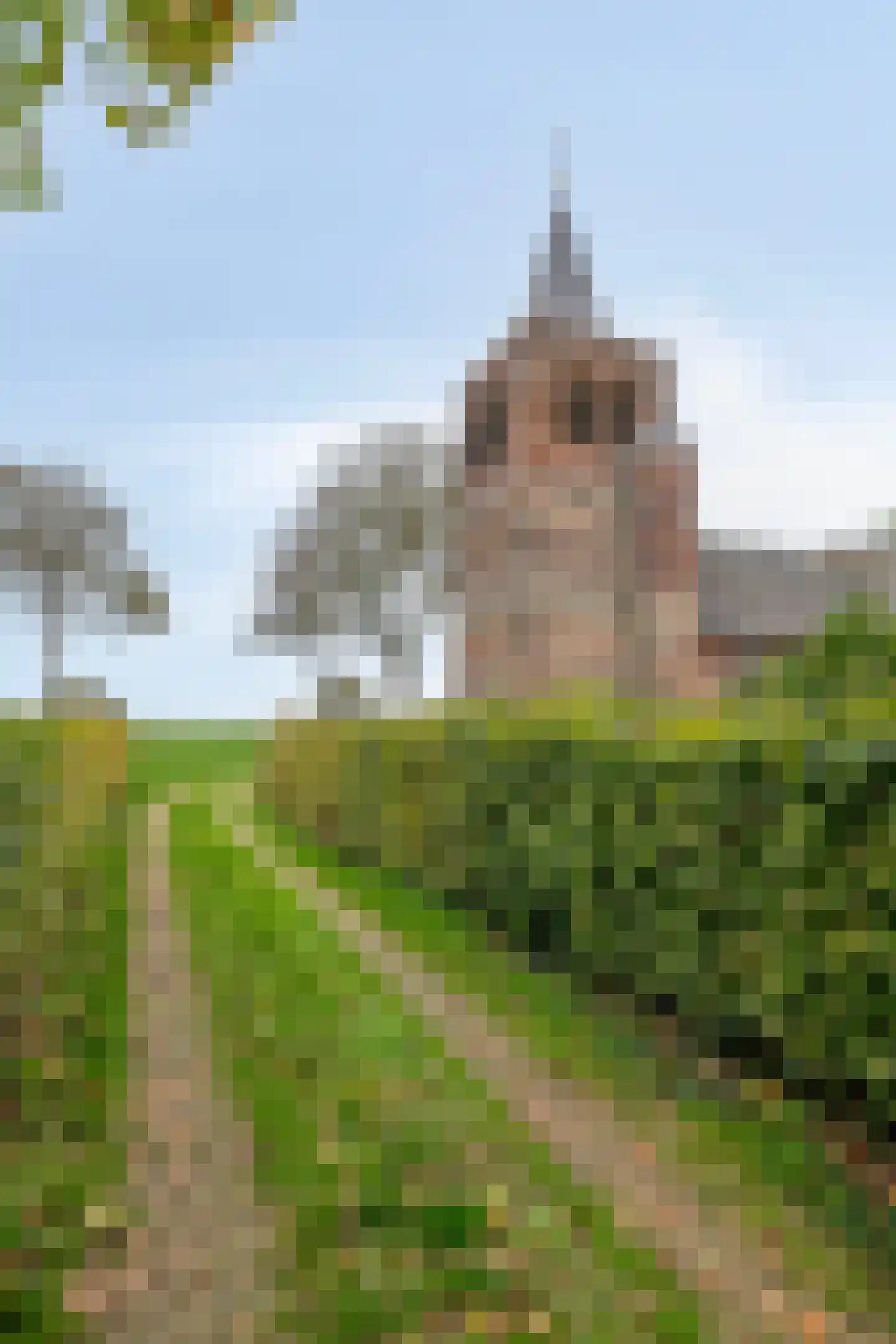 Maasdijk 79 Dieden thumbnail 54