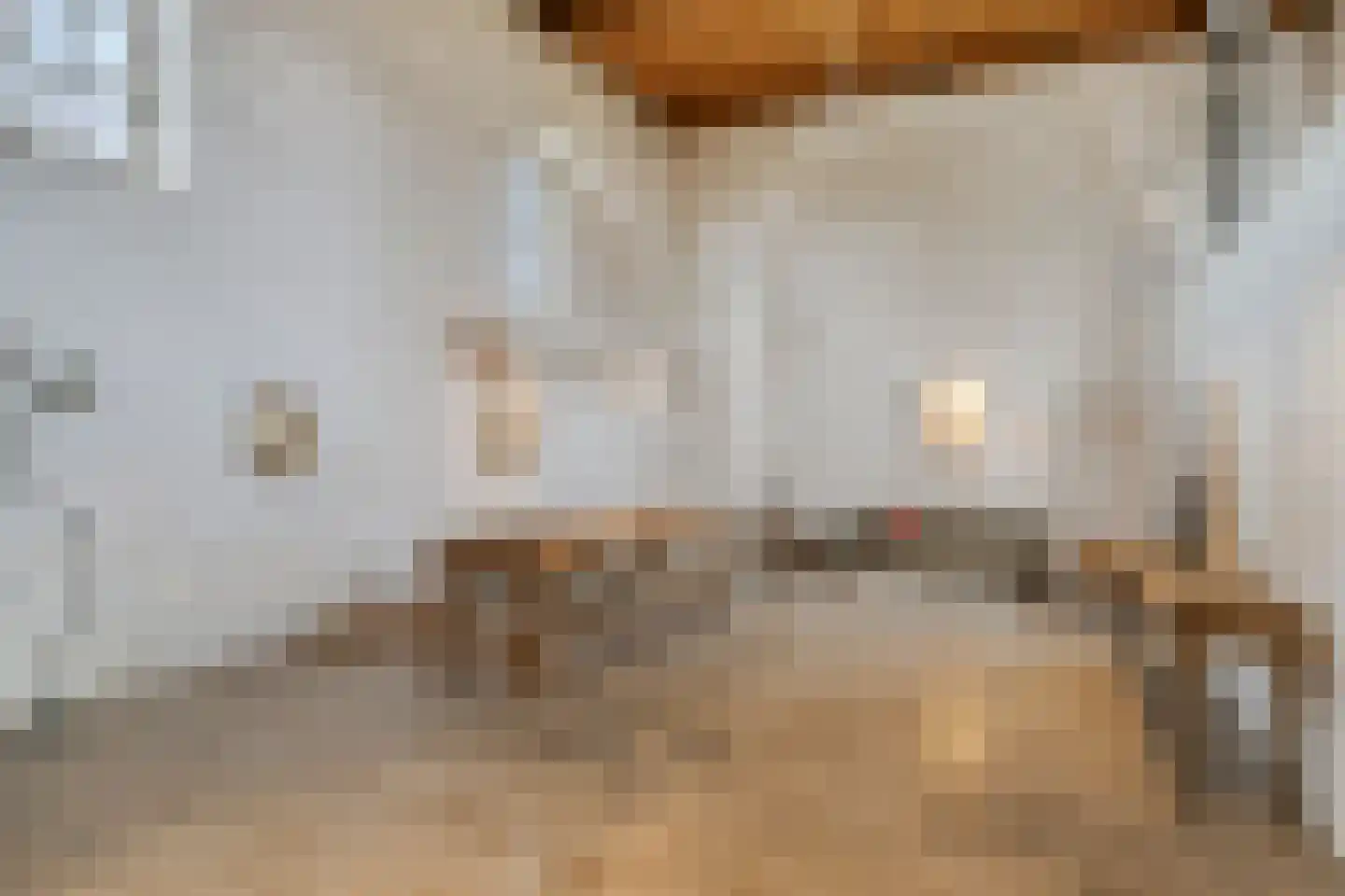 Maasdijk 79 Dieden thumbnail 6