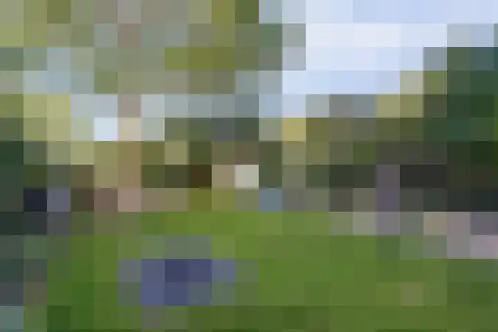 Maasdijk 8 Rossum thumbnail 11