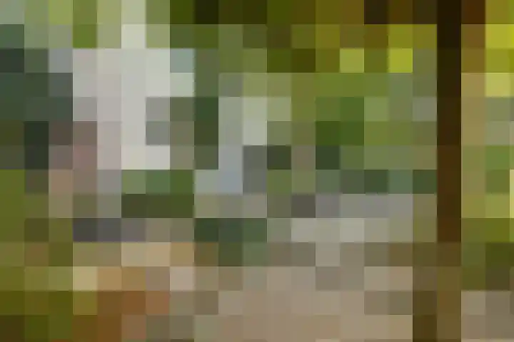 Maasdijk 8 Rossum thumbnail 13