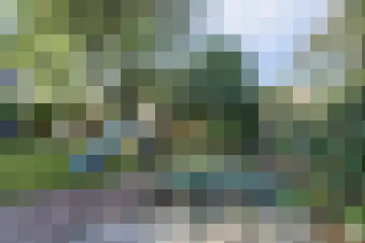 Maasdijk 8 Rossum thumbnail 14