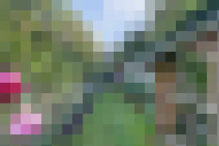 Maasdijk 8 Rossum thumbnail 16