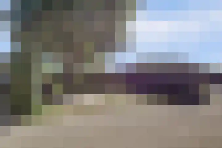 Maasdijk 8 Rossum thumbnail 19