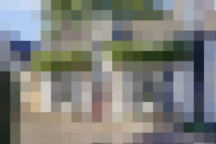 Maasdijk 8 Rossum thumbnail 21