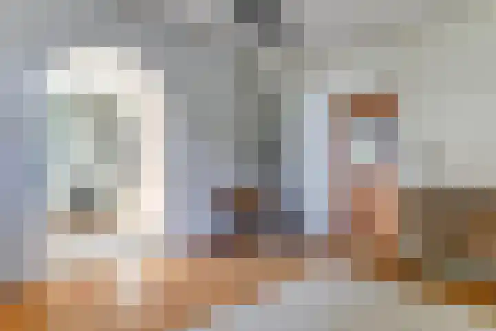 Maasdijk 8 Rossum thumbnail 30