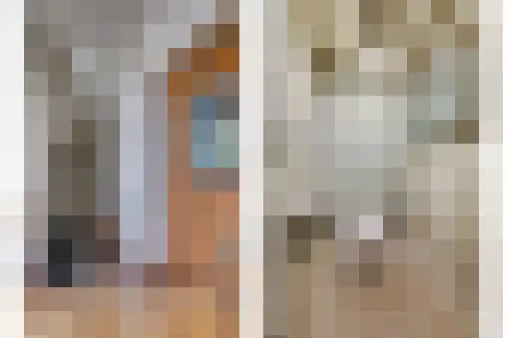 Maasdijk 8 Rossum thumbnail 36