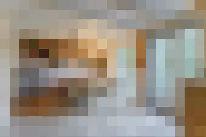 Maasdijk 8 Rossum thumbnail 42