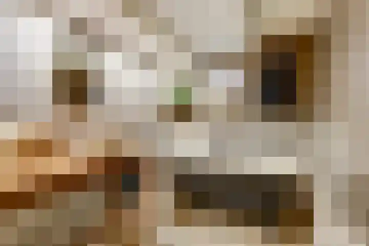 Maasdijk 8 Rossum thumbnail 46