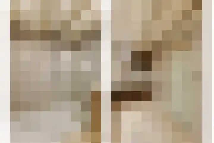 Maasdijk 8 Rossum thumbnail 48