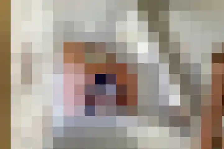 Maasdijk 8 Rossum thumbnail 54