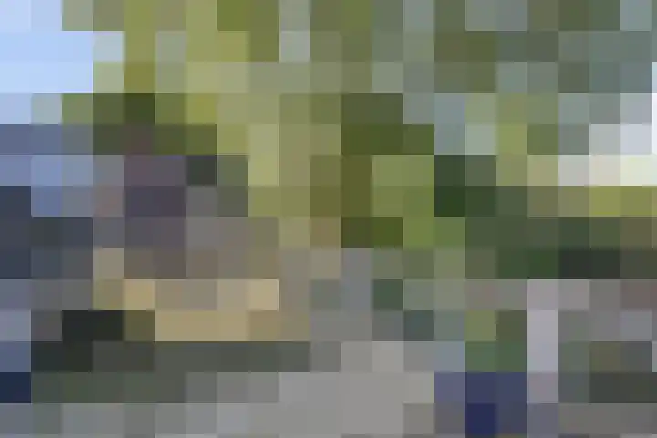 Maasdijk 8 Rossum thumbnail 57