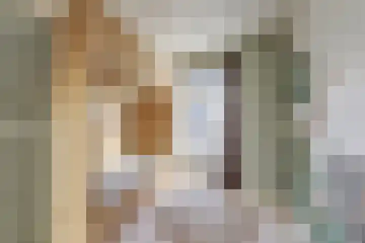 Maasdijk 8 Rossum thumbnail 59