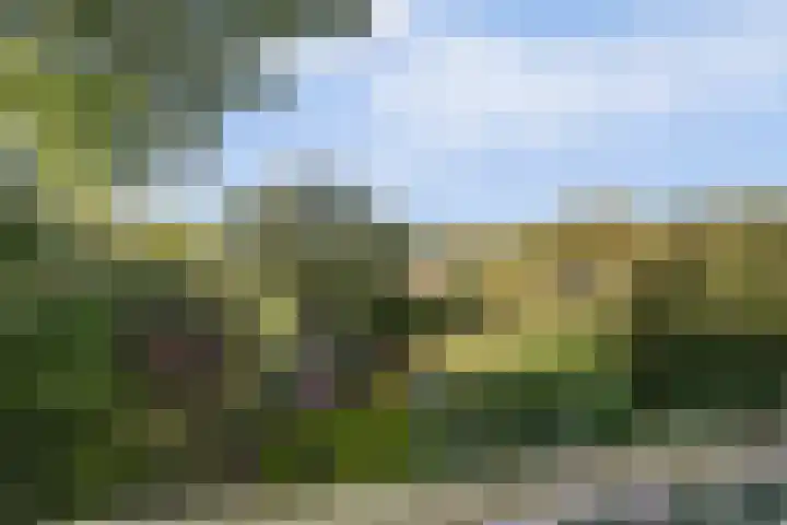 Maasdijk 8 Rossum thumbnail 8